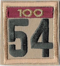 One-piece numerals with 100 year unit veteran bar