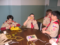 New Scouts Learning Knots